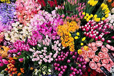 《仙剑奇侠传七》场景地图介绍 风景迷人让人沉醉