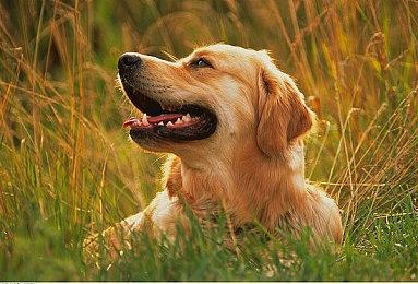 《最终幻想15》导演田畑端对话《33号远征队》导演 谈JRPG和西方RPG不同